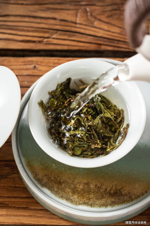 实体店茶叶何以日常泡饮皆宜