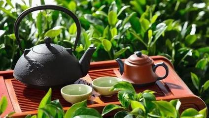 春茶上市，办公桌上的那一杯，是“真香”还是“套路”？几招教你轻松辨别